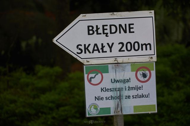 slajd 79.jpg
